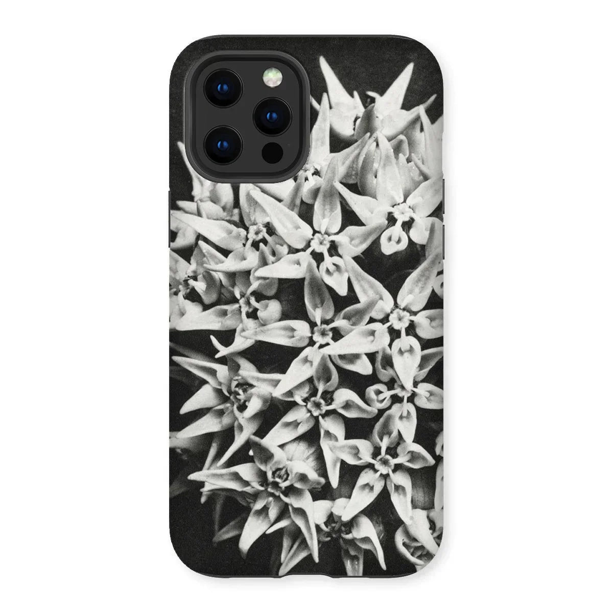 Asclepias Speciosa - Karl Blossfeldt Iphone Case, 12 Pro Max / Matte, Phone Case Black White Photograph Clustered Star-shaped Flowers