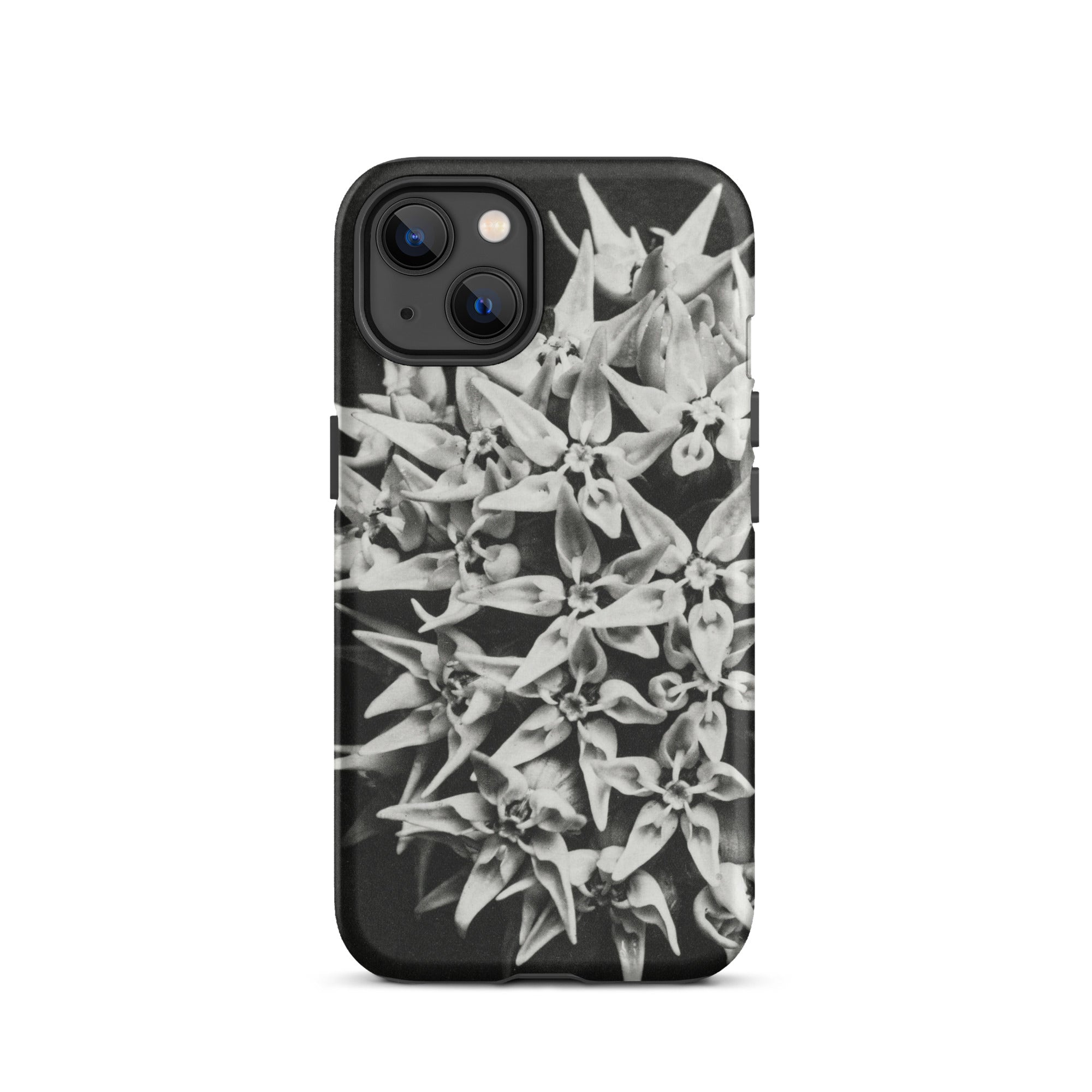 Asclepias Speciosa Karl Blossfeldt Iphone Case, 13 / Matte, Black Phone Case Floral Pattern