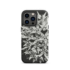 Asclepias Speciosa Karl Blossfeldt Iphone Case, 13 Pro / Matte, Black White Floral Phone Case