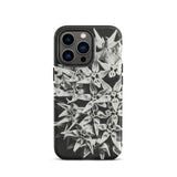Asclepias Speciosa - Karl Blossfeldt Iphone Case, 13 Pro / Matte, Black White Floral Phone Case