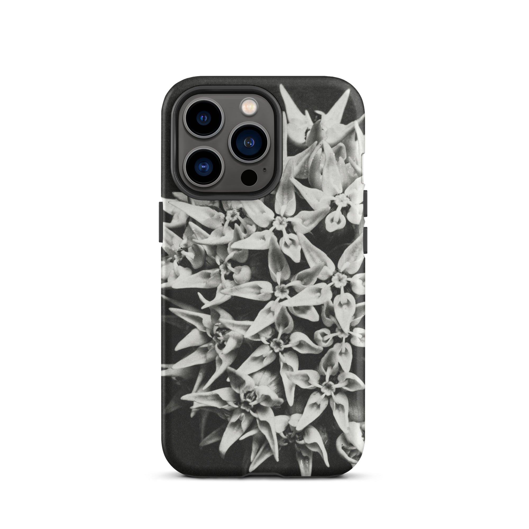Asclepias Speciosa Karl Blossfeldt Iphone Case, 13 Pro / Matte, Black White Floral Phone Case