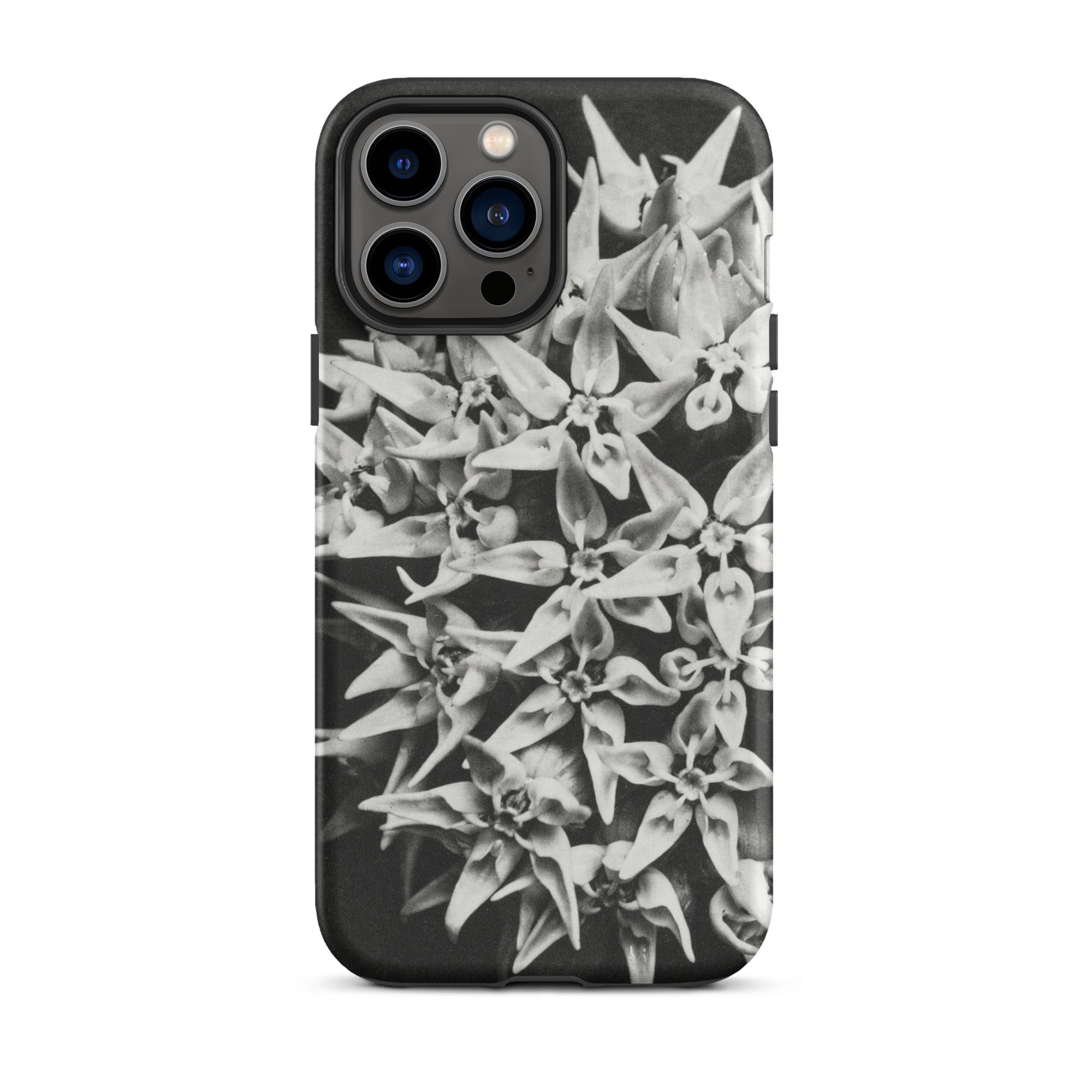 Asclepias Speciosa Karl Blossfeldt Iphone Case, 13 Pro Max / Matte, Black Phone Case Floral Design
