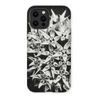 Asclepias Speciosa - Karl Blossfeldt Iphone Case, 13 Pro Max / Matte, Phone Case Black White Photograph Clustered Star-shaped Flowers