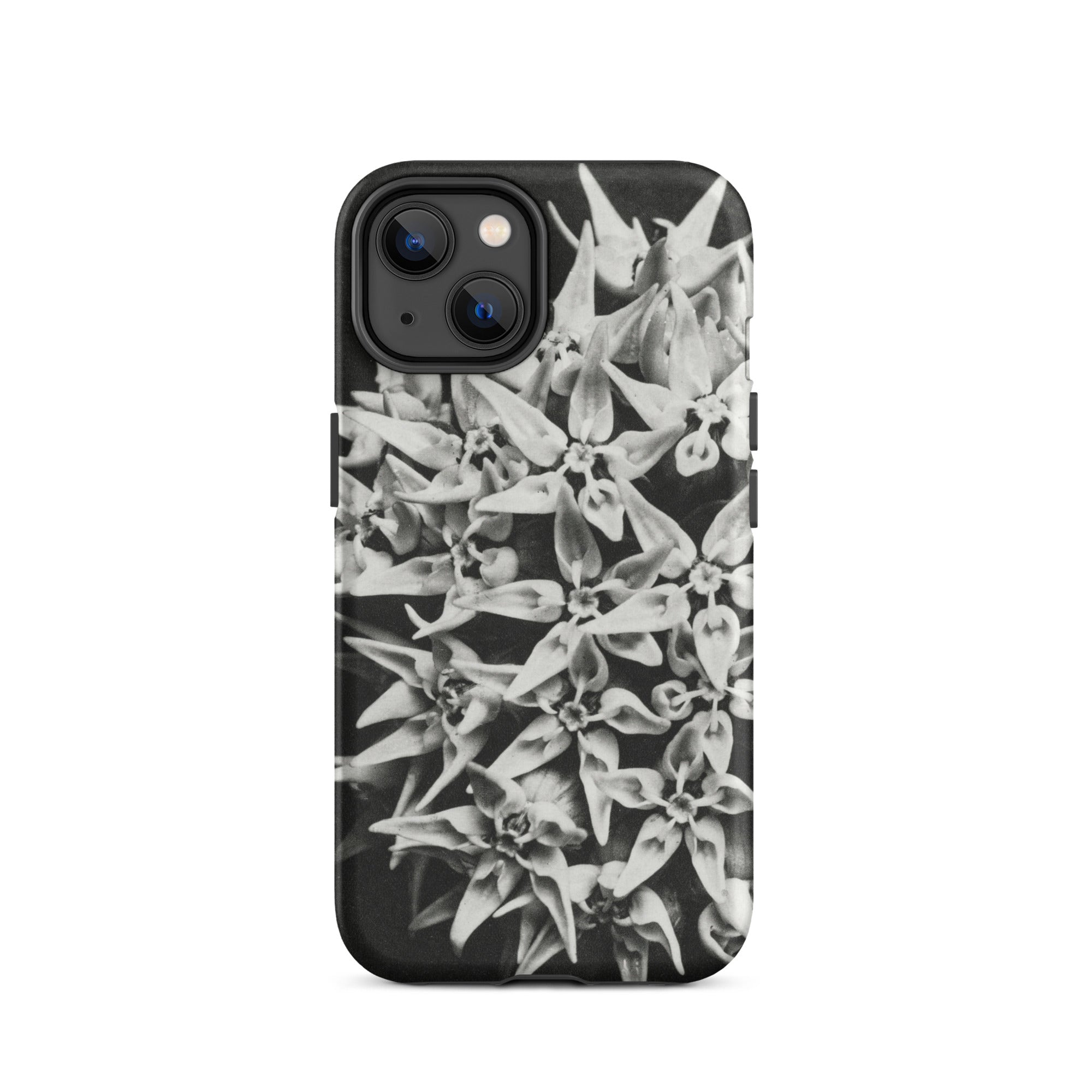 Asclepias Speciosa Karl Blossfeldt Iphone Case, 14 / Matte, Black White Floral Phone Case