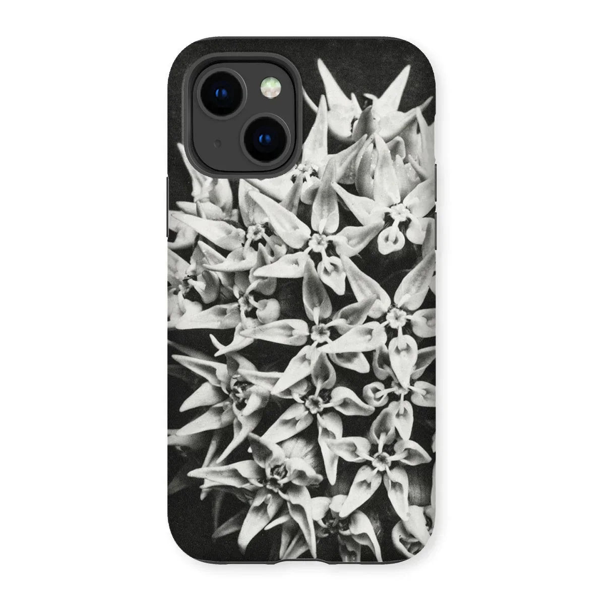 Asclepias Speciosa - Karl Blossfeldt Iphone Case, 14 / Matte, Phone Case Black White Floral Design Clustered Star-shaped
