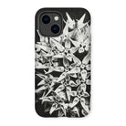 Asclepias Speciosa - Karl Blossfeldt Iphone Case, 14 / Matte, Phone Case Black White Floral Design Clustered Star-shaped