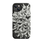 Asclepias Speciosa Karl Blossfeldt Iphone Case, 14 Plus / Matte, Black White Floral Iphone Case