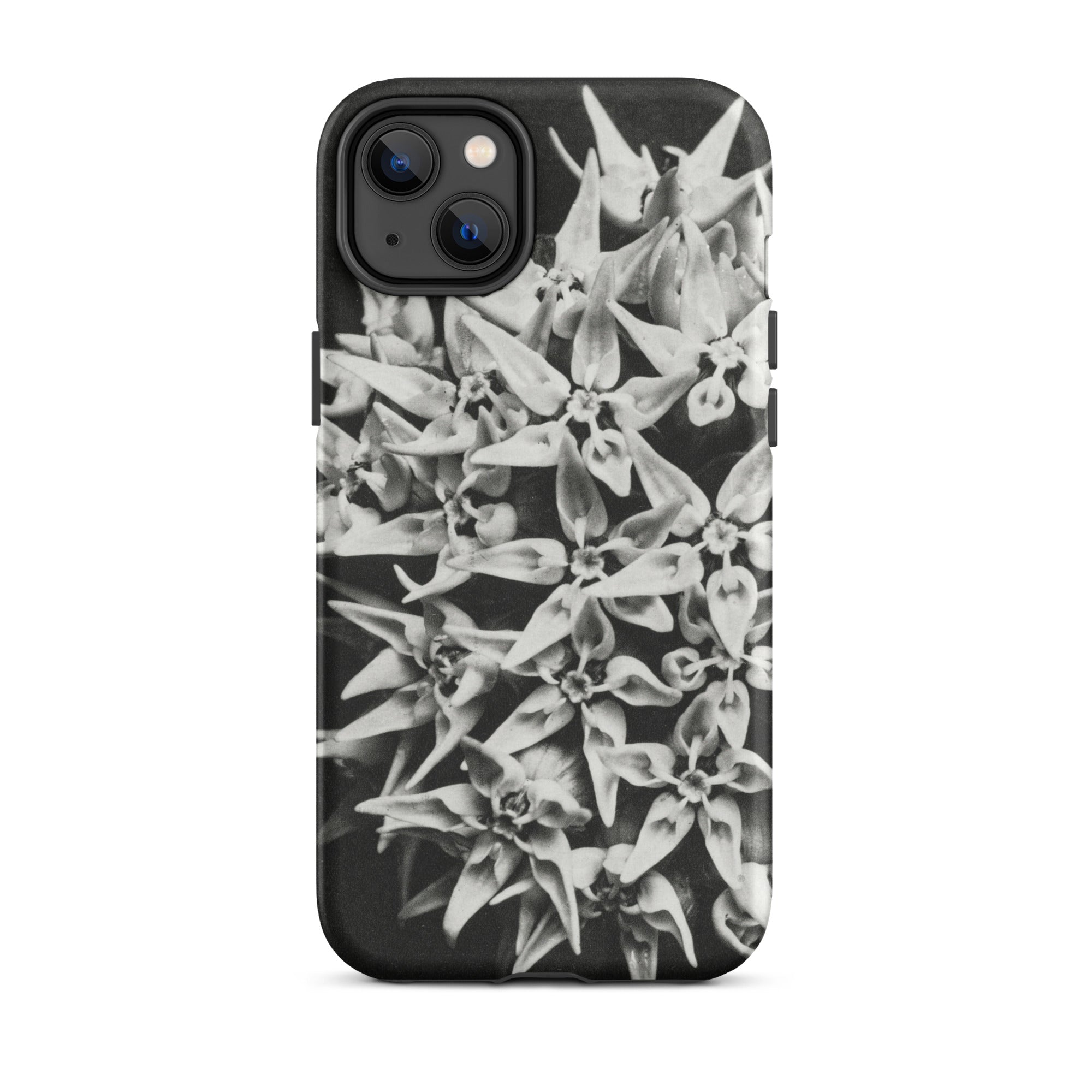 Asclepias Speciosa Karl Blossfeldt Iphone Case, 14 Plus / Matte, Black White Floral Iphone Case