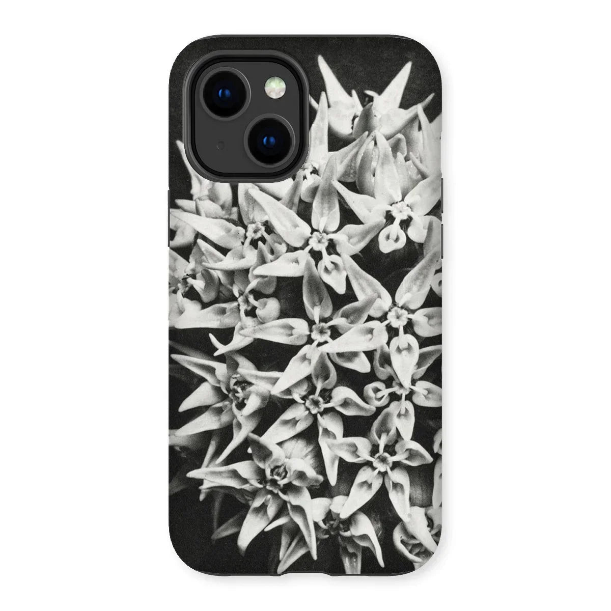 Asclepias Speciosa - Karl Blossfeldt Iphone Case, 14 Plus / Matte, Phone Case Black White Photograph Clustered Flowers