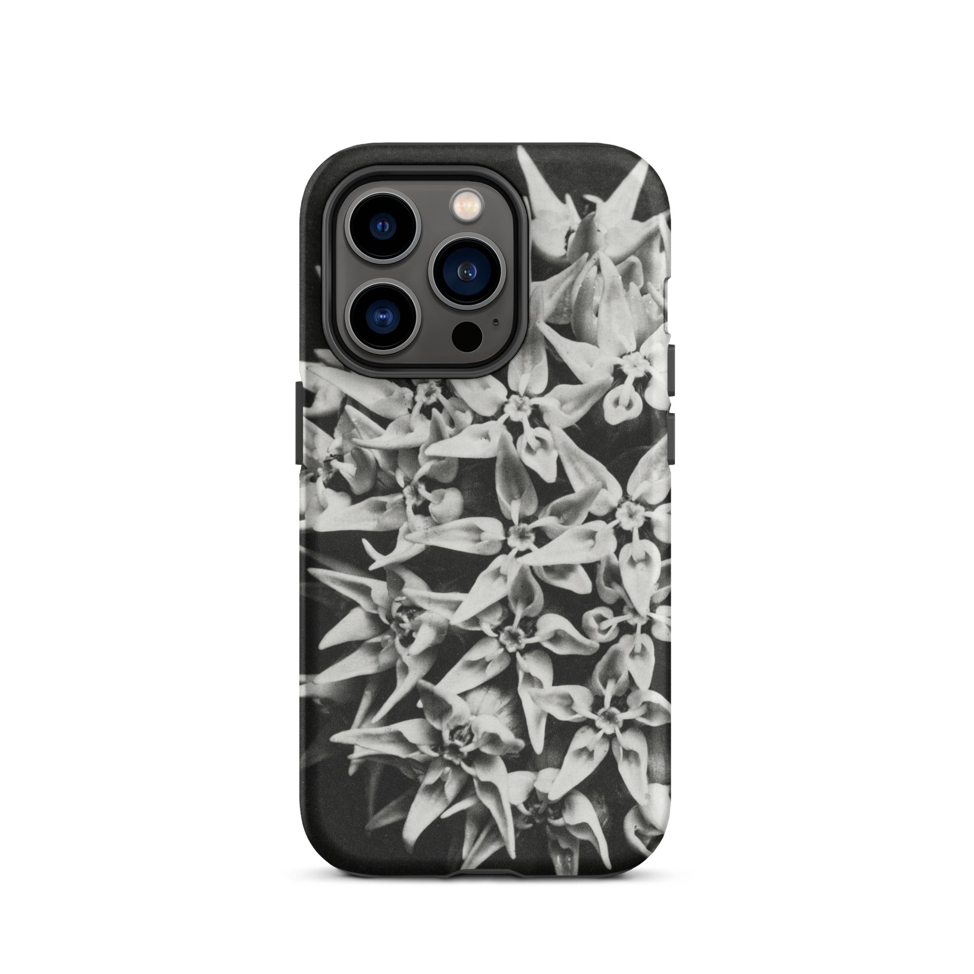 Asclepias Speciosa Karl Blossfeldt Iphone Case, 14 Pro / Matte, Black Phone Case Floral Design