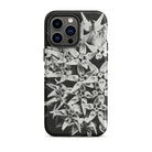 Asclepias Speciosa Karl Blossfeldt Iphone Case, 14 Pro Max / Matte, Black White Floral Phone Case