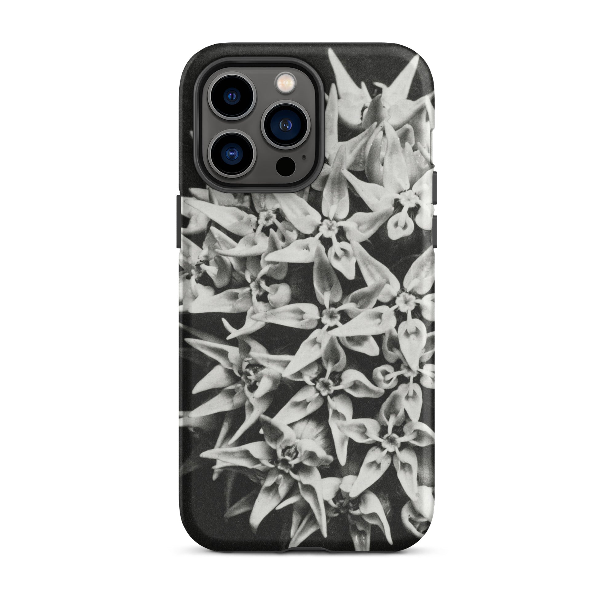 Asclepias Speciosa Karl Blossfeldt Iphone Case, 14 Pro Max / Matte, Black White Floral Phone Case
