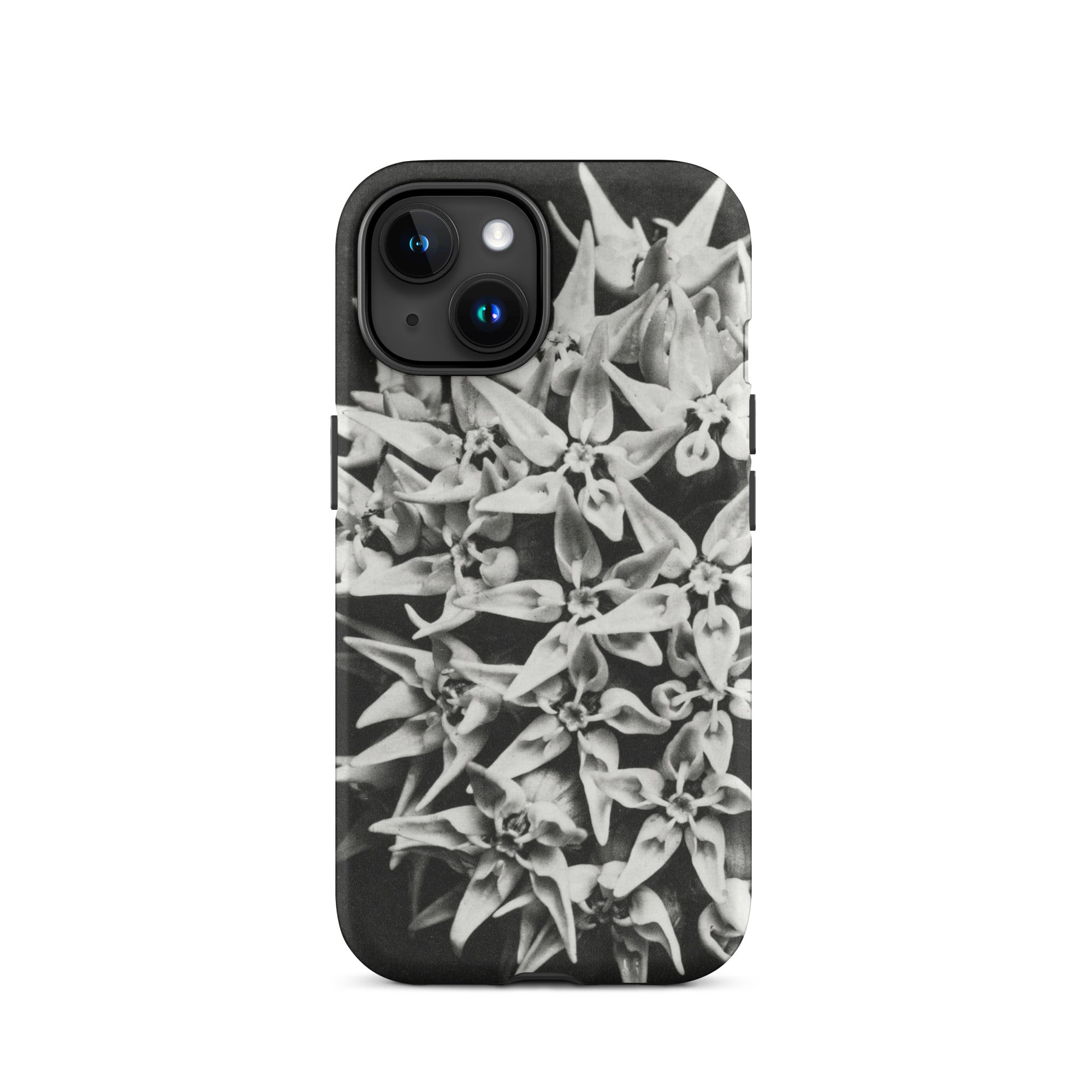 Asclepias Speciosa Karl Blossfeldt Iphone Case, 15 / Matte, Black White Floral Phone Case