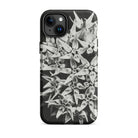 Asclepias Speciosa Karl Blossfeldt Iphone Case, 15 Plus / Matte, Black White Floral Phone Case