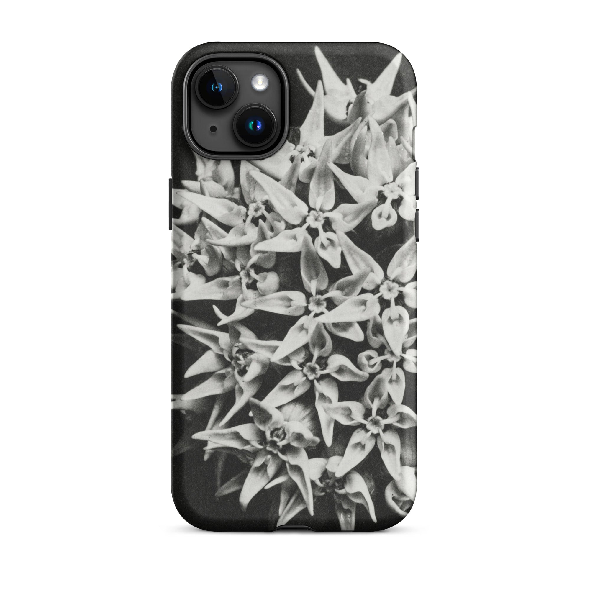 Asclepias Speciosa Karl Blossfeldt Iphone Case, 15 Plus / Matte, Black White Floral Phone Case