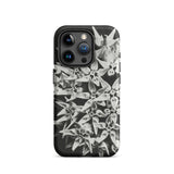 Asclepias Speciosa - Karl Blossfeldt Iphone Case, 15 Pro / Matte, Black Phone Case Floral Design