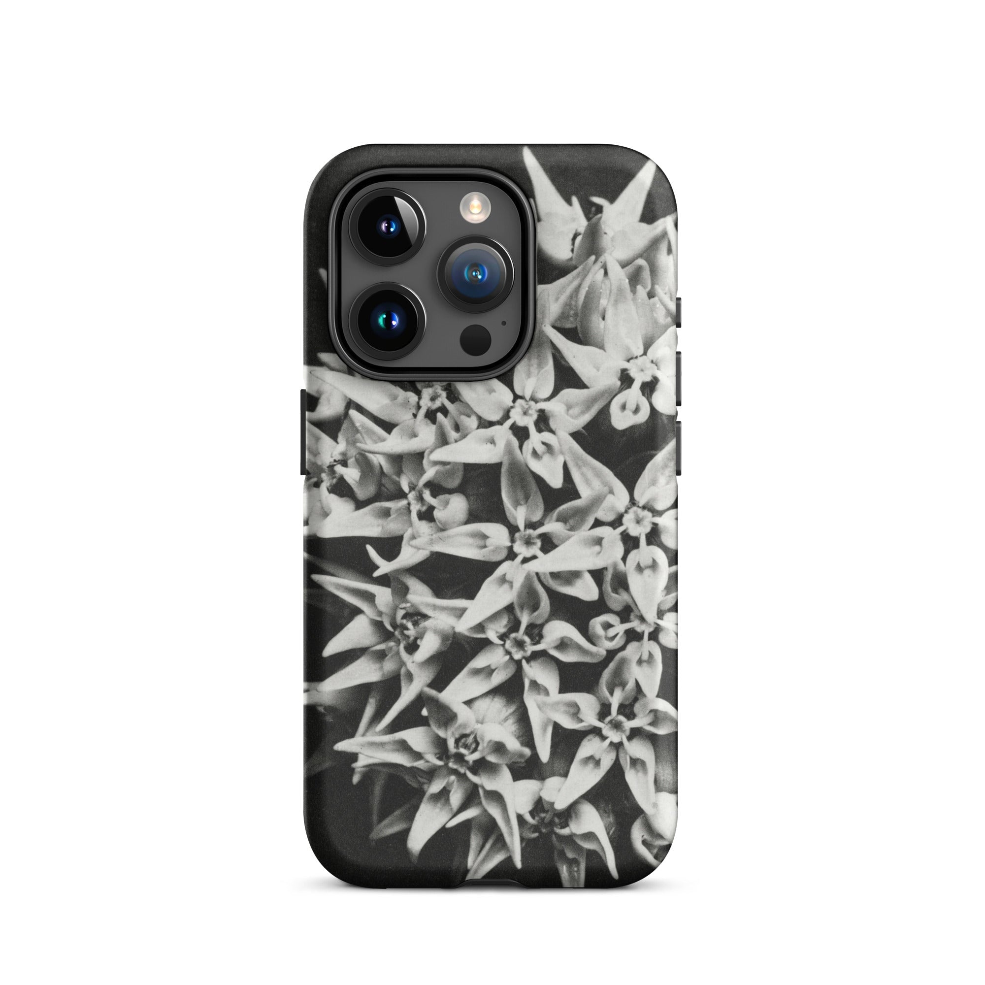 Asclepias Speciosa Karl Blossfeldt Iphone Case, 15 Pro / Matte, Black Phone Case Floral Design