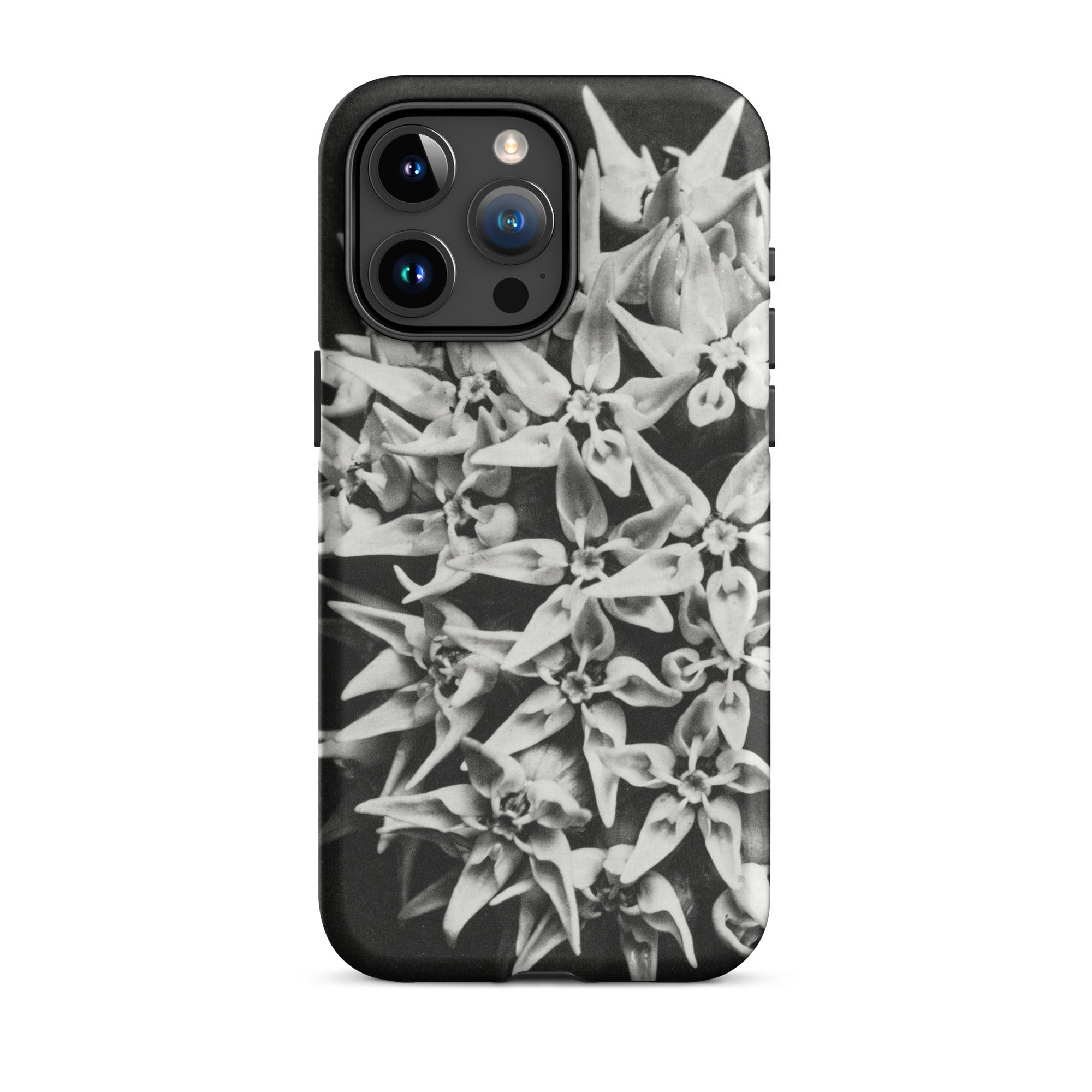 Asclepias Speciosa Karl Blossfeldt Iphone Case, 15 Pro Max / Matte, Black Phone Case Floral Pattern