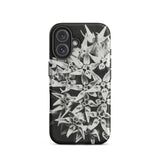 Asclepias Speciosa - Karl Blossfeldt Iphone Case, 16 / Matte, Black Phone Case Floral Design
