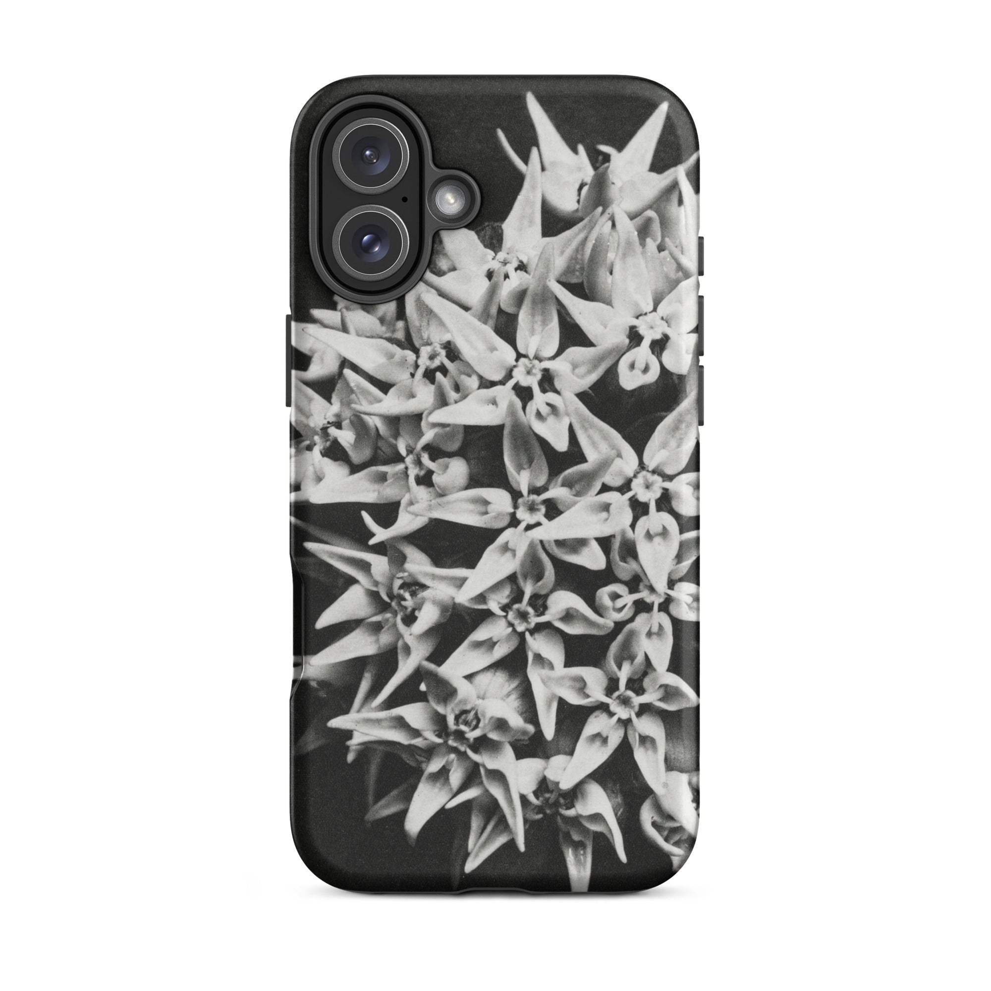 Asclepias Speciosa Karl Blossfeldt Iphone Case, 16 Plus / Matte, Black Phone Case Floral Design