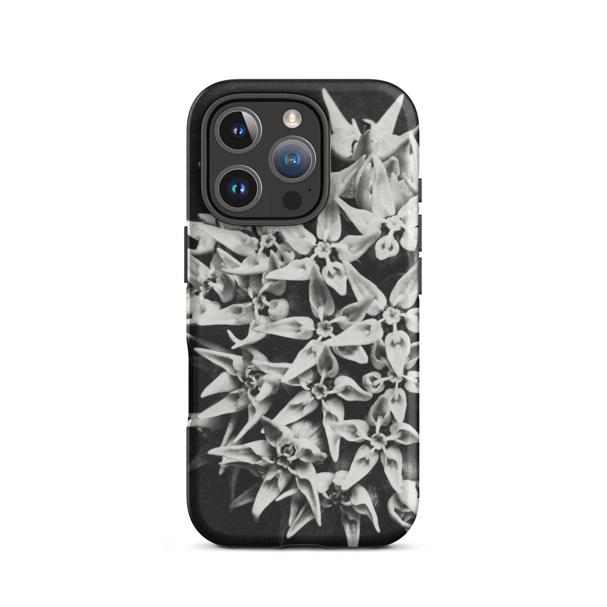 Asclepias Speciosa Karl Blossfeldt Iphone Case, 16 Pro / Matte, Black Phone Case Floral Design
