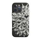 Asclepias Speciosa Karl Blossfeldt Iphone Case, 16 Pro Max / Matte, Black Phone Case Floral Design