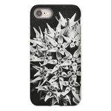 Asclepias Speciosa - Karl Blossfeldt Iphone Case, 8 / Matte, Phone Case Black White Photograph Clustered Star-shaped Flowers