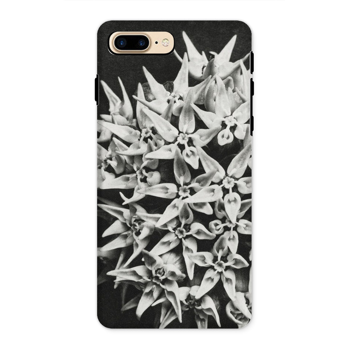 Asclepias Speciosa Karl Blossfeldt Iphone Case, 8 Plus / Matte, Phone Case Black White Floral Design Clustered Star Shaped