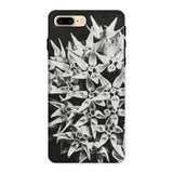 Asclepias Speciosa - Karl Blossfeldt Iphone Case, 8 Plus / Matte, Phone Case Black White Floral Design Clustered Star-shaped