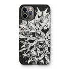 Asclepias Speciosa - Karl Blossfeldt Iphone Case 11 Pro / Matte Mobile Phone Cases