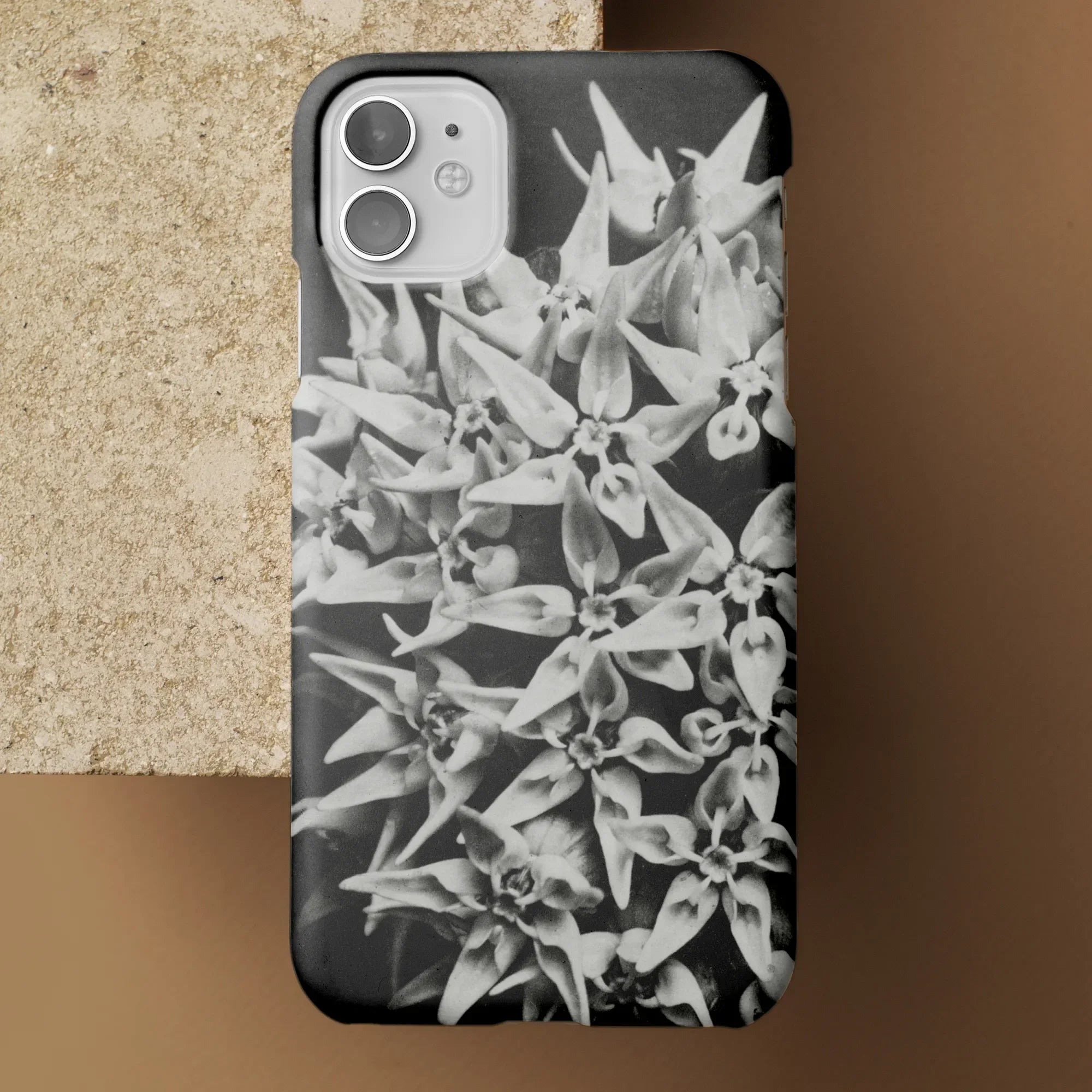 Asclepias Speciosa - Karl Blossfeldt Iphone Case Mobile Phone Cases