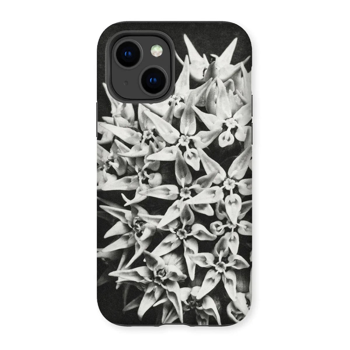 Asclepias Speciosa - Karl Blossfeldt Iphone Case 14 / Matte Mobile Phone Cases