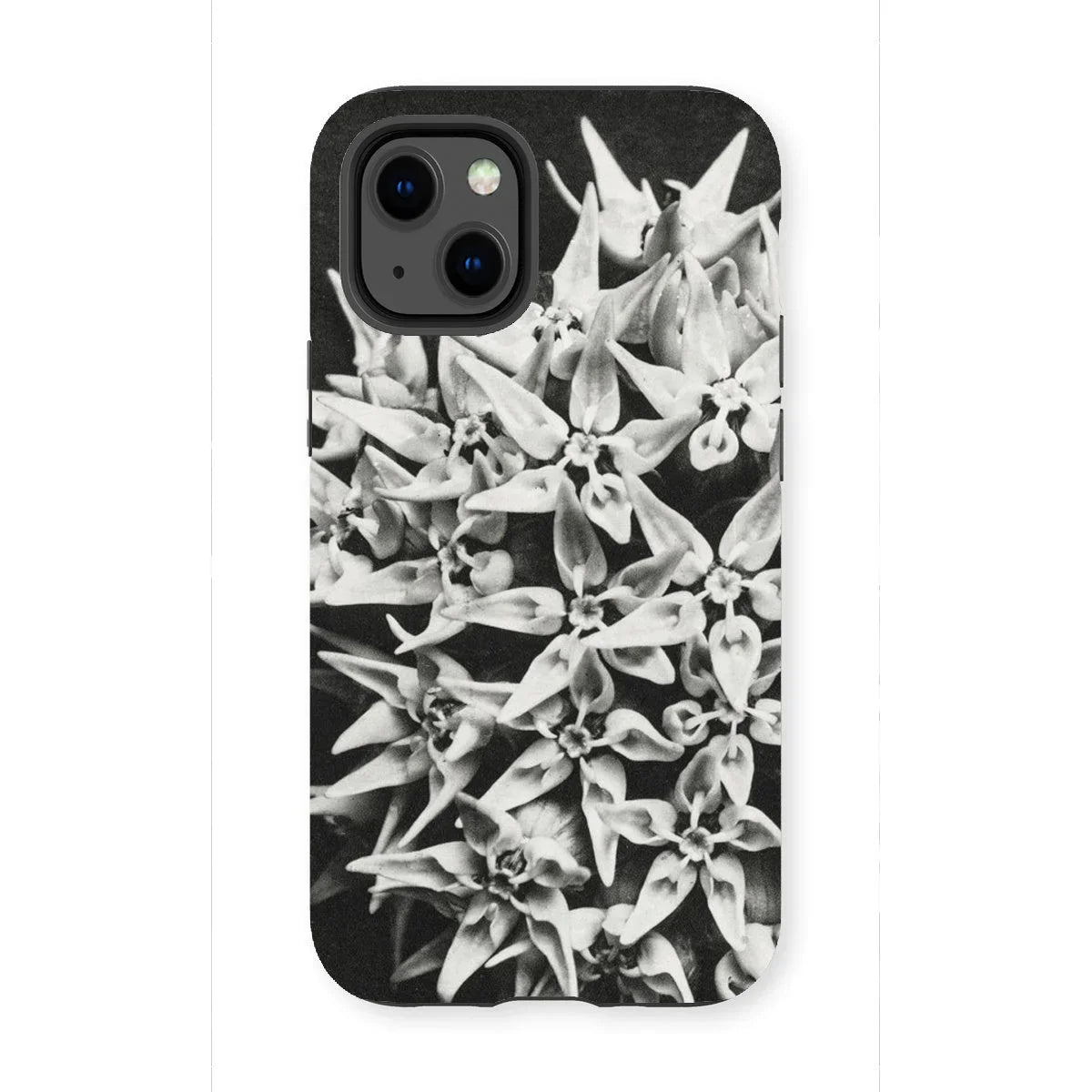 Asclepias Speciosa - Karl Blossfeldt Iphone Case 13 Mini / Matte Mobile Phone Cases