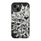 Asclepias Speciosa - Karl Blossfeldt Iphone Case - 13 / Matte