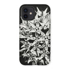 Asclepias Speciosa - Karl Blossfeldt Iphone Case - 12 / Matte