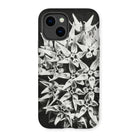 Asclepias Speciosa - Karl Blossfeldt Iphone Case - 14 / Matte