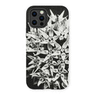 Asclepias Speciosa - Karl Blossfeldt Iphone Case 13 Pro / Matte Mobile Phone Cases