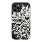 Asclepias Speciosa - Karl Blossfeldt Iphone Case - 13 Pro / Matte