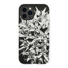 Asclepias Speciosa - Karl Blossfeldt Iphone Case - 14 Pro / Matte