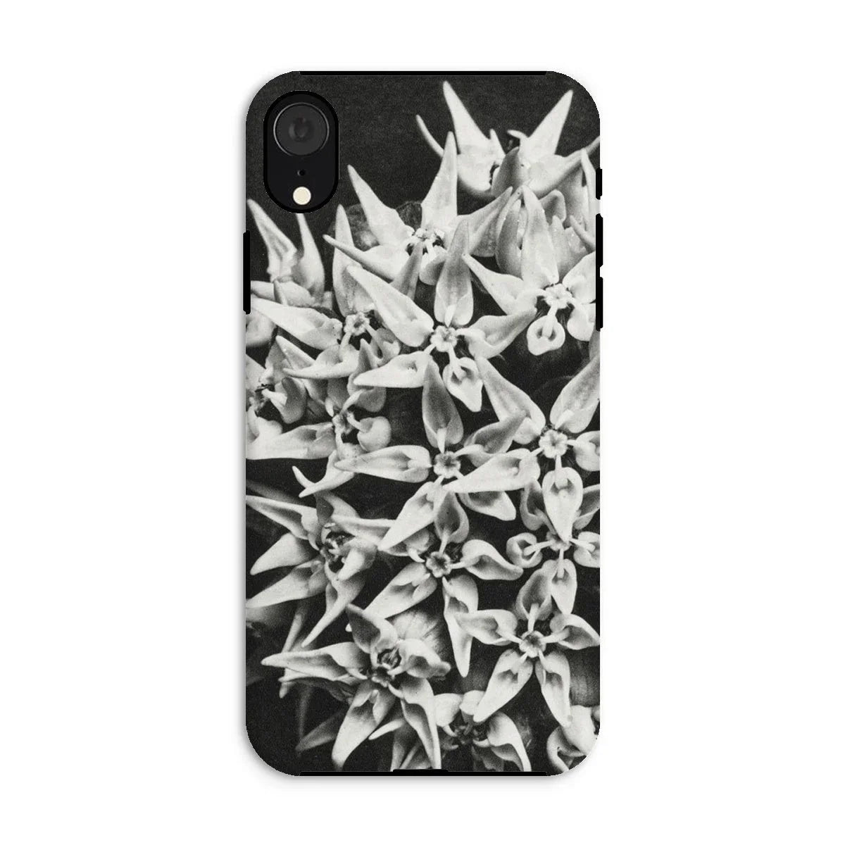 Asclepias Speciosa - Karl Blossfeldt Iphone Case Xr / Matte Mobile Phone Cases