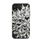 Asclepias Speciosa - Karl Blossfeldt Iphone Case Xr / Matte Mobile Phone Cases