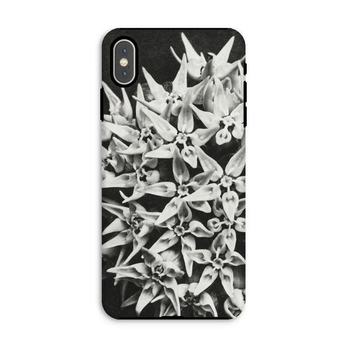 Asclepias Speciosa - Karl Blossfeldt Iphone Case - Xs Max / Matte