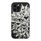 Asclepias Speciosa - Karl Blossfeldt Iphone Case - 12 Pro Max / Matte