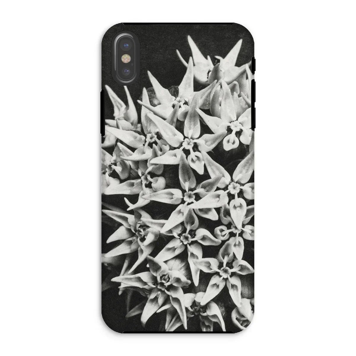 Asclepias Speciosa - Karl Blossfeldt Iphone Case - Xs / Matte