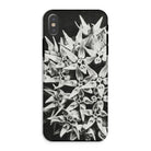 Asclepias Speciosa - Karl Blossfeldt Iphone Case Xs / Matte Mobile Phone Cases