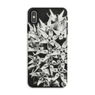 Asclepias Speciosa - Karl Blossfeldt Iphone Case Xs Max / Matte Mobile Phone Cases