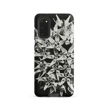 Asclepias Speciosa - Karl Blossfeldt Phone Case, Samsung Galaxy S20 / Matte, Mobile Cases, Toby Leon