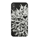 Asclepias Speciosa - Karl Blossfeldt Iphone Case, x / Matte, Phone Case Black White Photograph Clustered Star-shaped Flowers