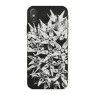 Asclepias Speciosa Karl Blossfeldt Iphone Case, x / Matte, Phone Case Black White Photograph Clustered Star Shaped Flowers