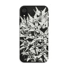 Asclepias Speciosa - Karl Blossfeldt Iphone Case, Xr / Matte, Phone Case Black White Floral Design Star-shaped Blossoms